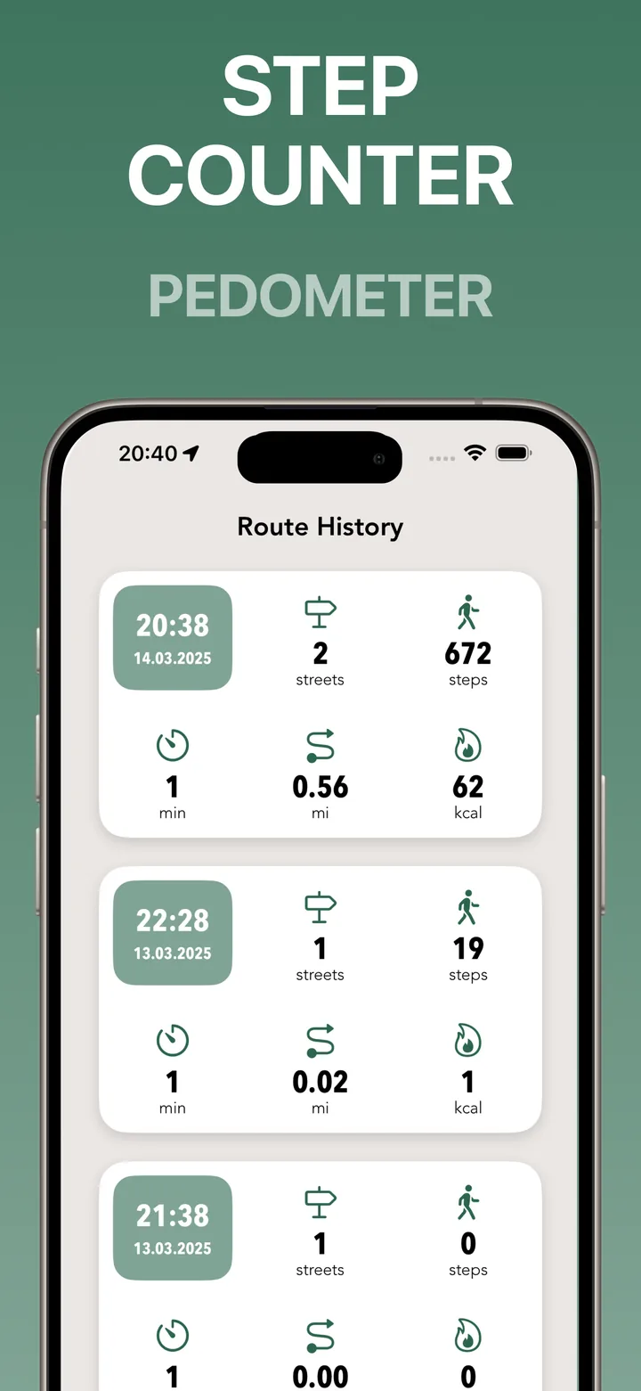 Route history and step counts