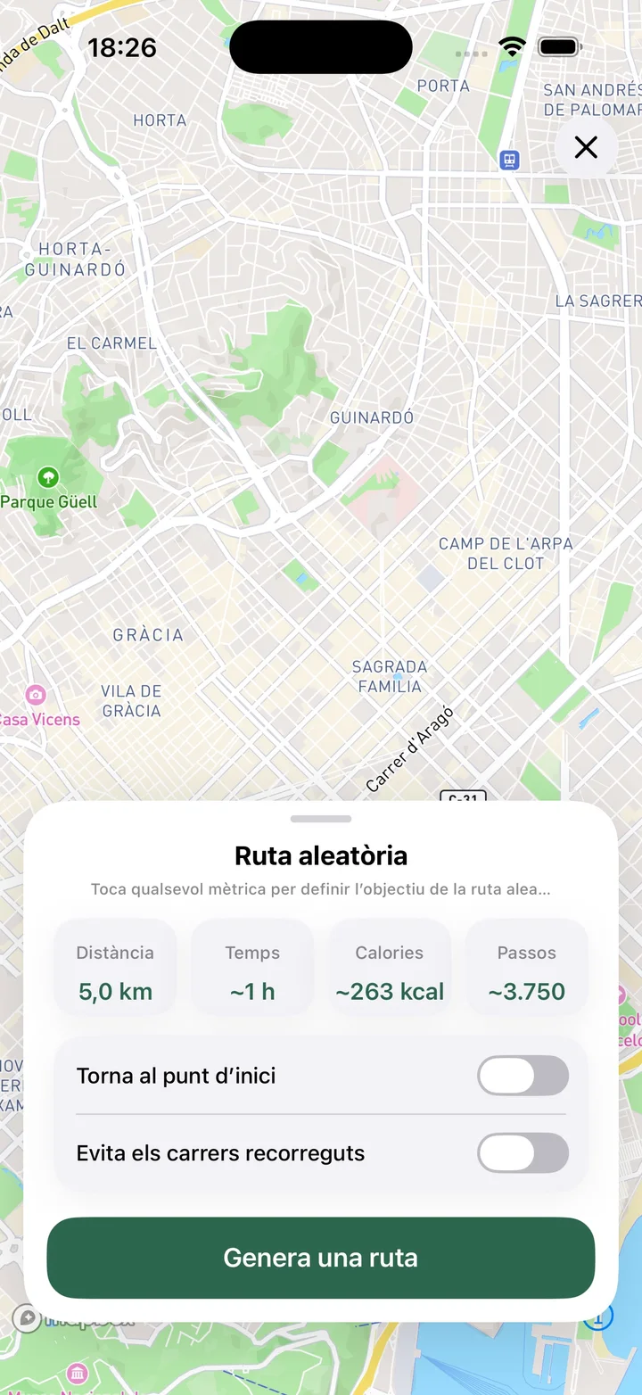 Ruta aleatòria