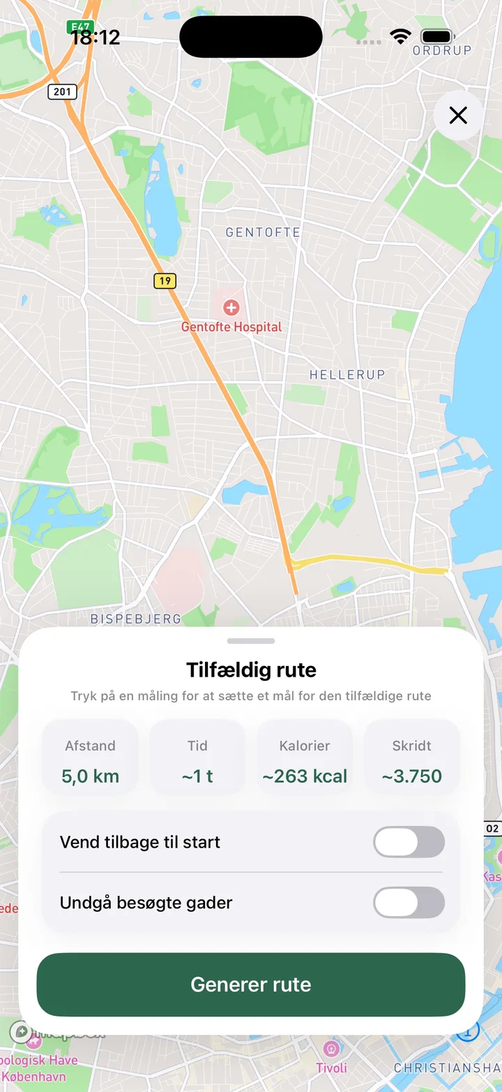Tilfældig rute