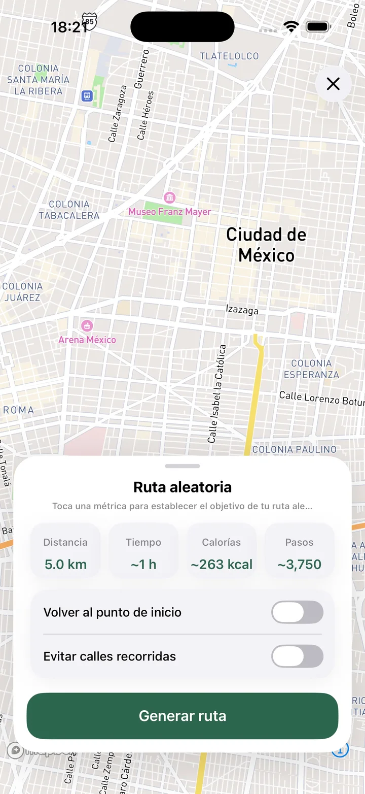 Ruta aleatoria