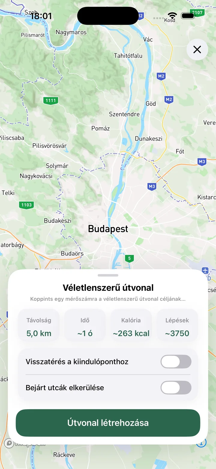 Véletlenszerű útvonal