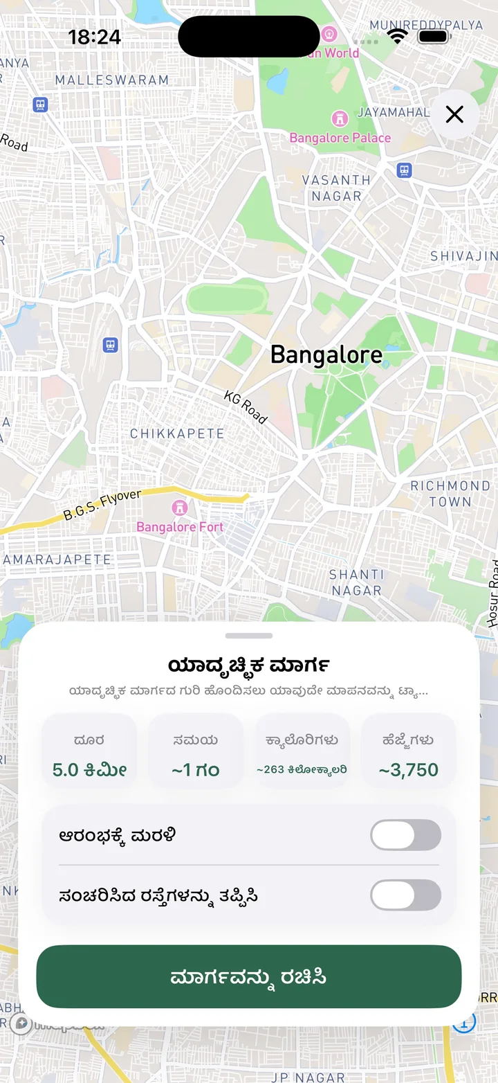 ಯಾದೃಚ್ಛಿಕ ಮಾರ್ಗ