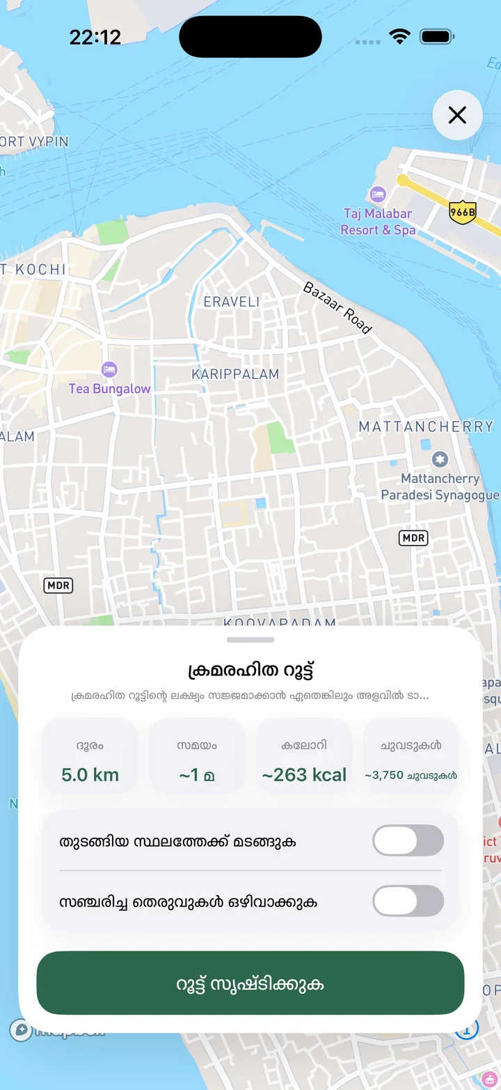 ക്രമരഹിത റൂട്ട്
