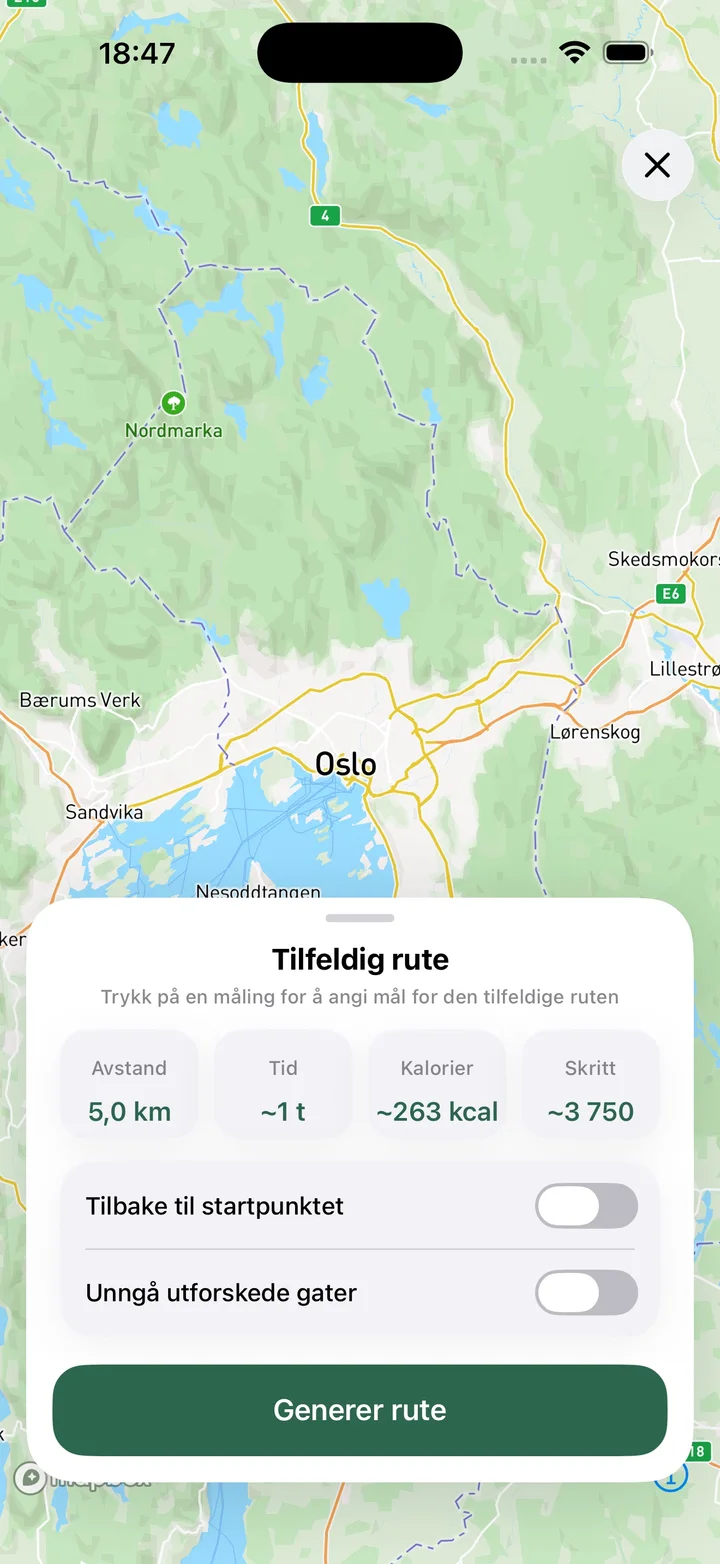 Tilfeldig rute