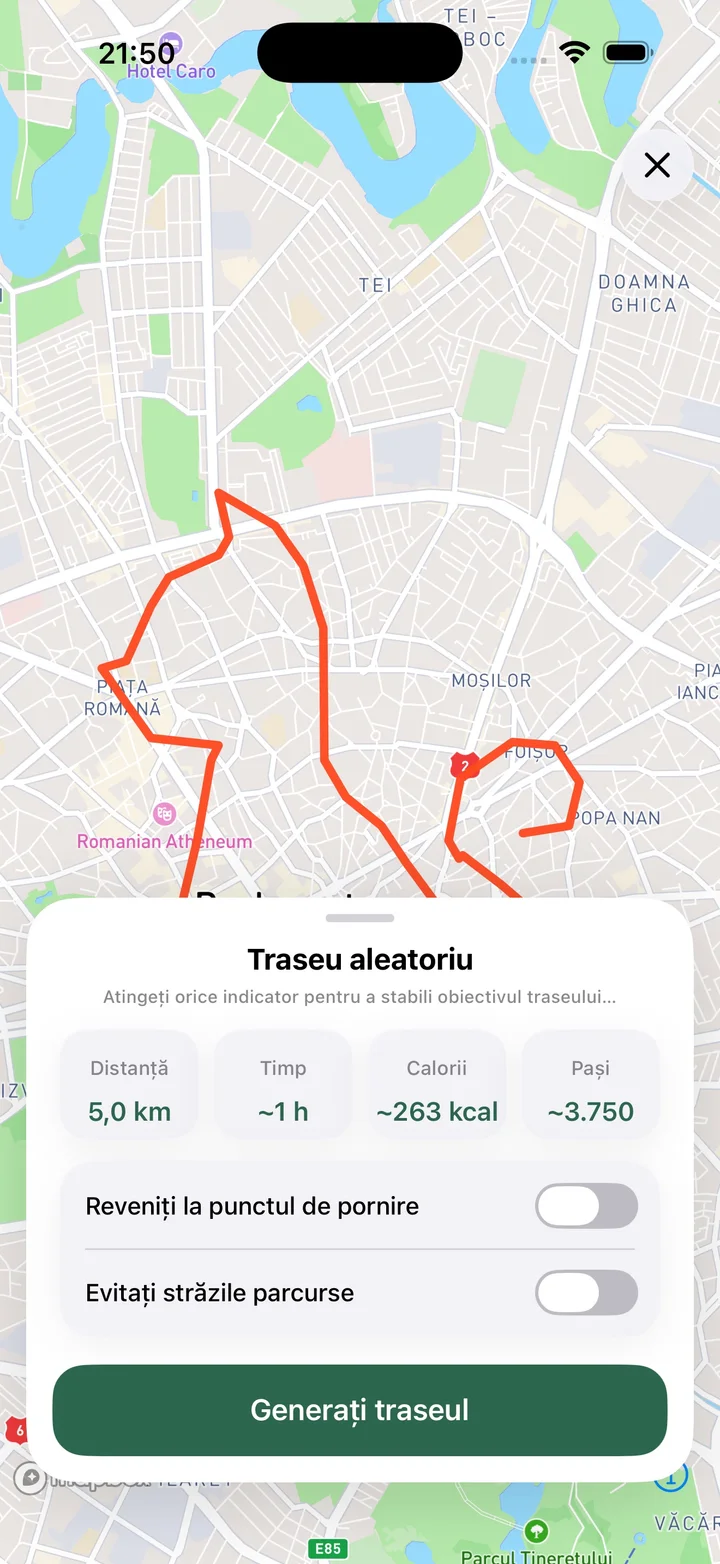 Traseu aleatoriu