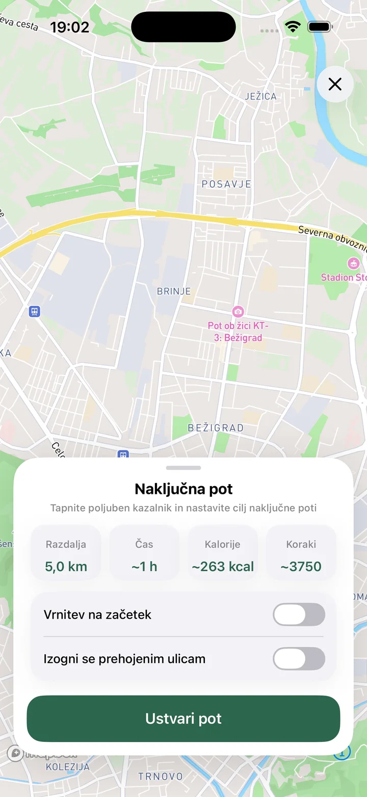 Naključna pot