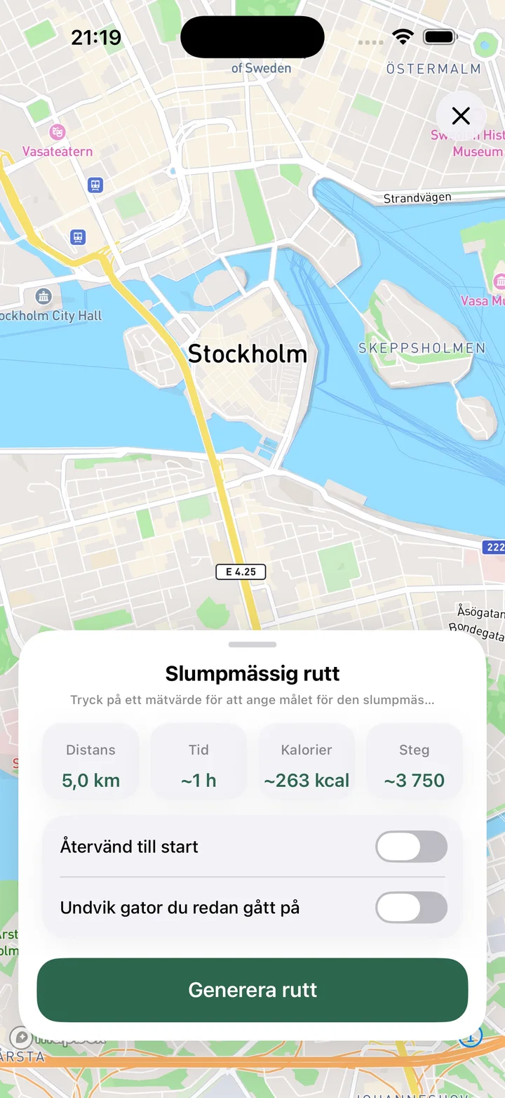 Slumpmässig rutt