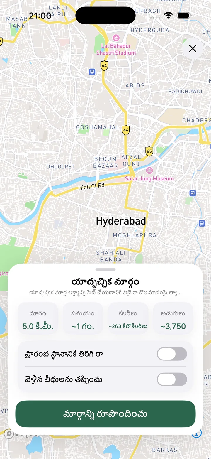 యాదృచ్ఛిక మార్గం